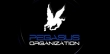 PEGASUS ORGANIZATION S.R.L.